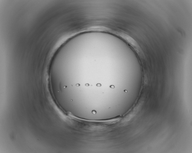 X0000110321430200906042034