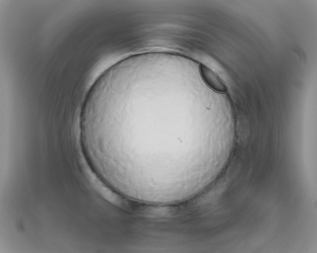 X0000110321431200906042034