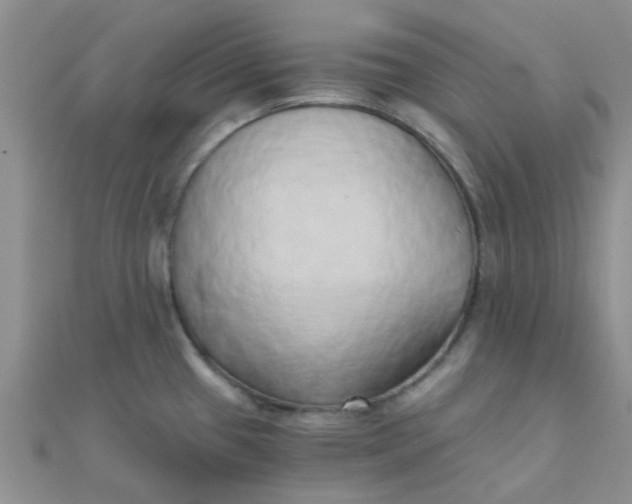 X0000110321433200906042034