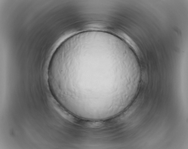 X0000110321435200906042034