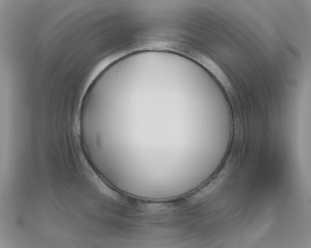 X0000110321436200906042034