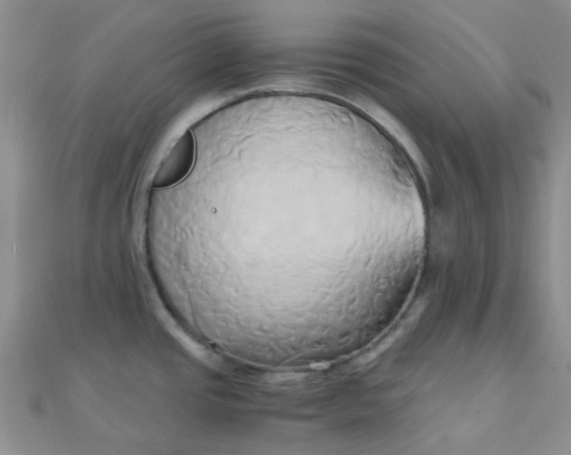 X0000110321437200906042034