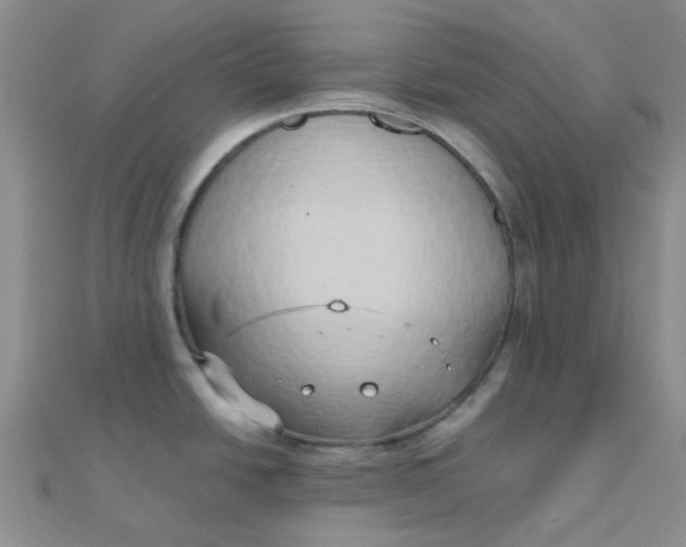 X0000110321438200906042034