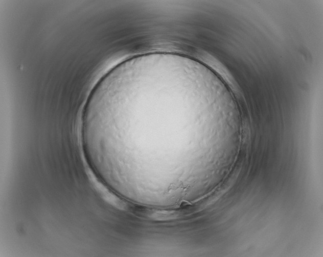 X0000110321439200906042034