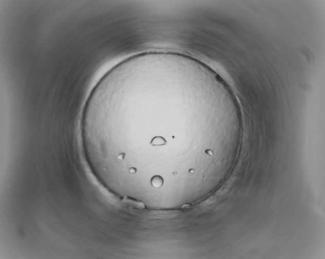 X0000110321440200906042034