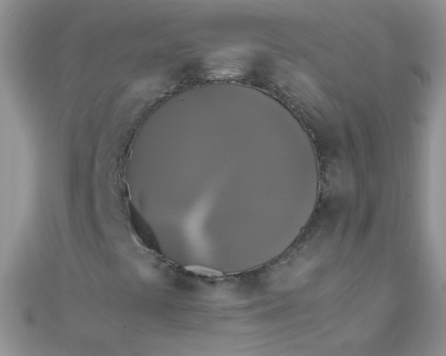 X0000110321441200906042034