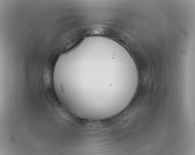 X0000110321442200906042034