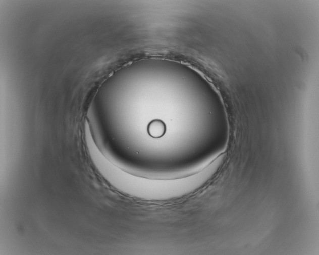 X0000110321445200906042034