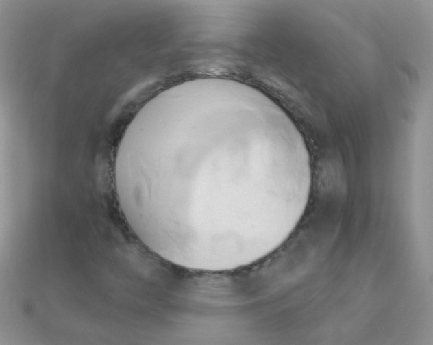 X0000110321446200906042034