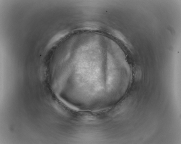 X0000110321448200906042034