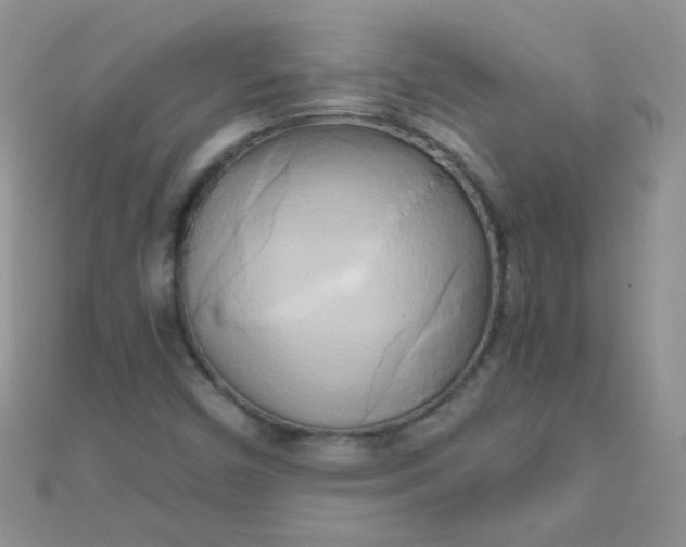 X0000110321450200906042034