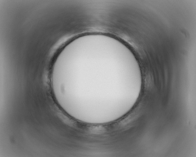 X0000110321454200906042034