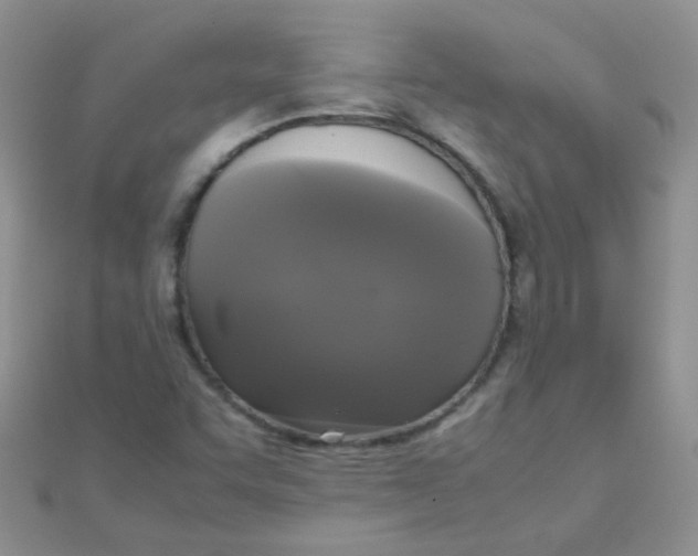 X0000110321455200906042034