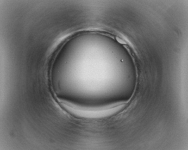 X0000110321456200906042034