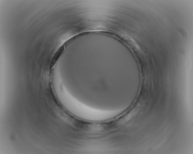 X0000110321457200906042034