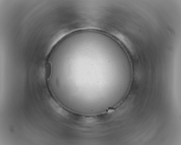 X0000110321460200906042034