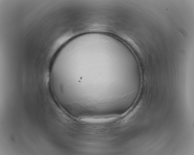 X0000110321461200906042034