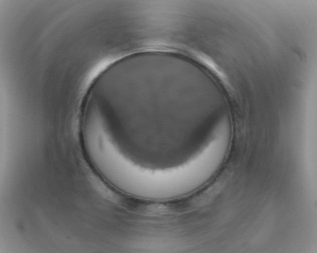 X0000110321463200906042034