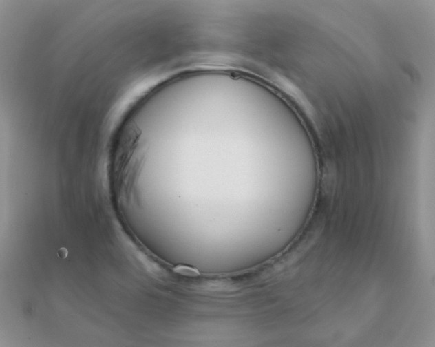 X0000110321464200906042034