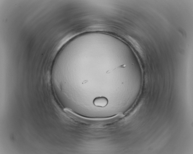 X0000110321465200906042034