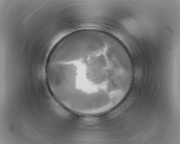 X0000110321466200906042034