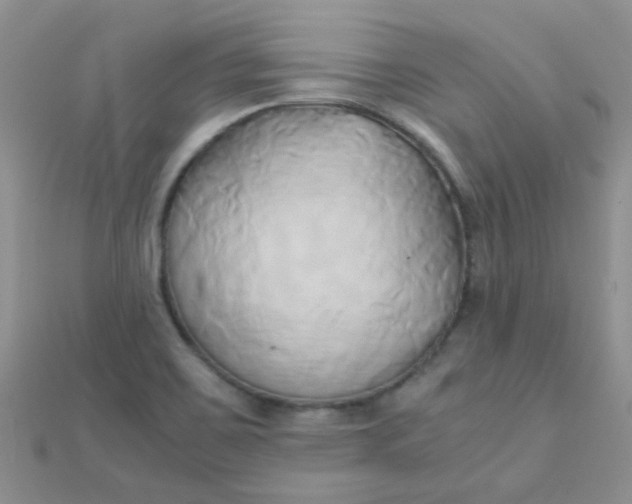 X0000110321467200906042034