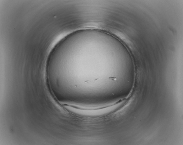 X0000110321469200906042033