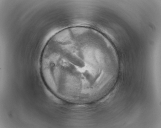 X0000110321471200906042033