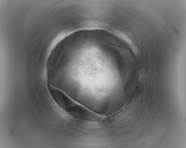 X0000110321472200906042033