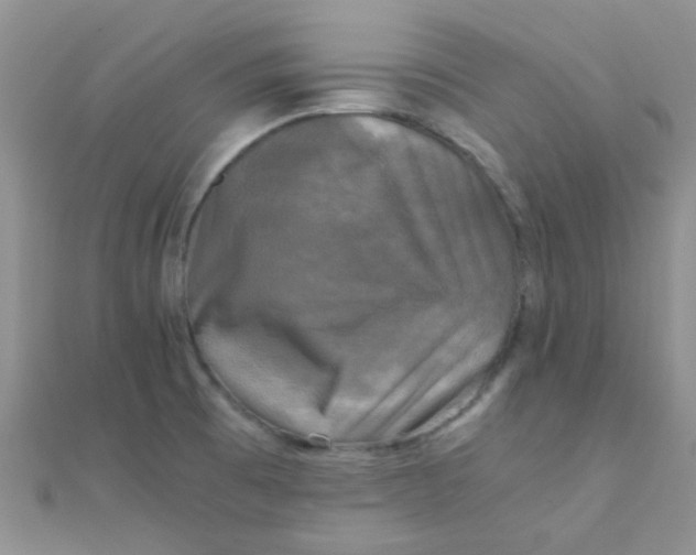 X0000110321473200906042033