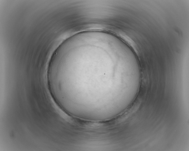 X0000110321475200906042033