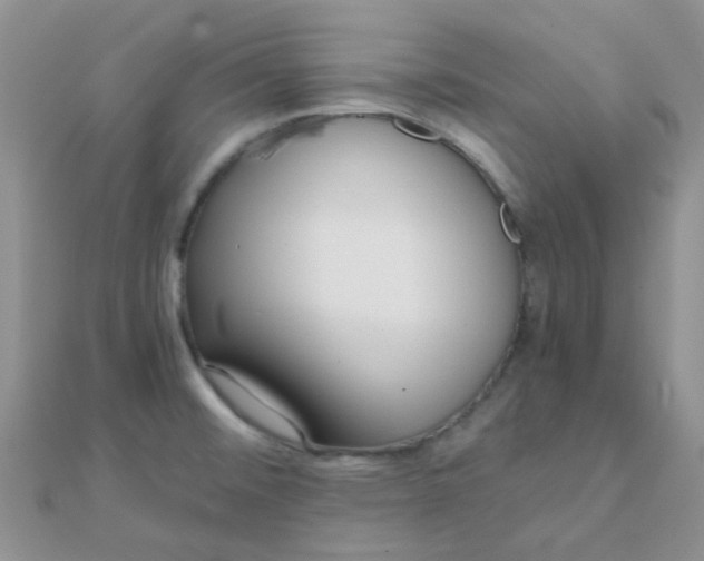 X0000110321476200906042033