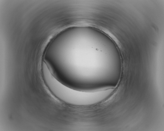 X0000110321477200906042033