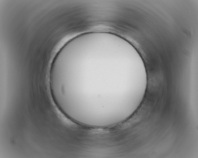 X0000110321478200906042033