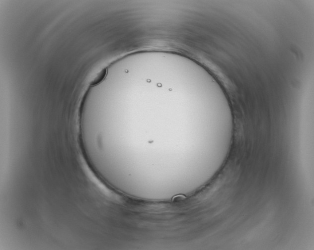 X0000110321479200906042033