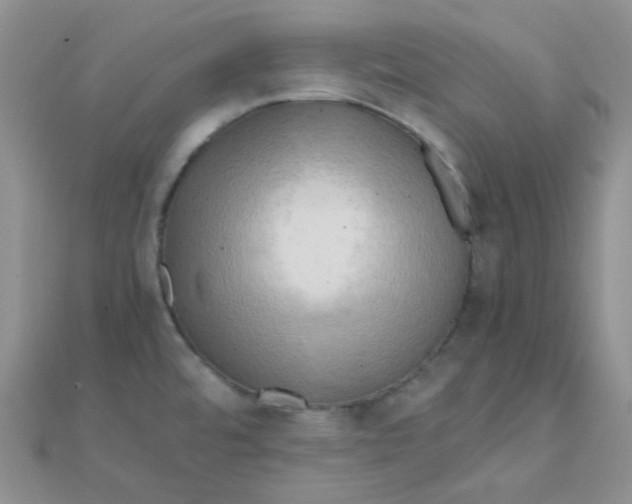 X0000110321480200906042033