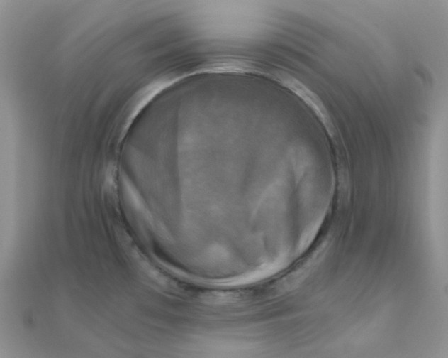 X0000110321481200906042033