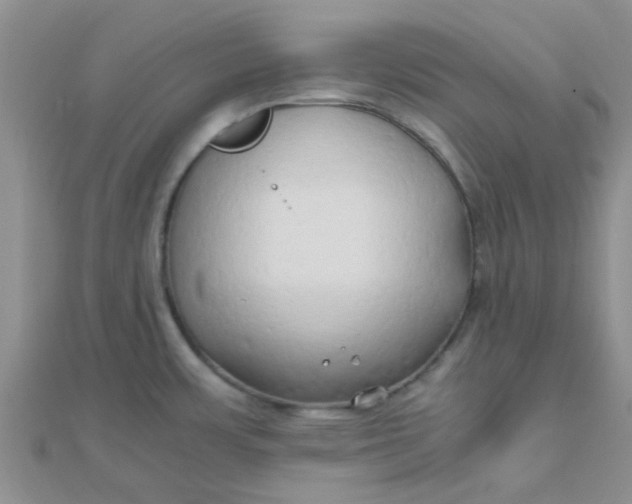 X0000110321483200906042033