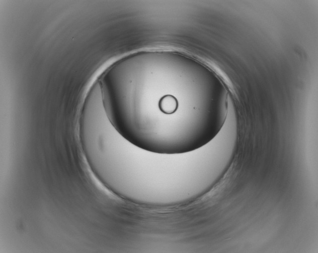 X0000110321484200906042033