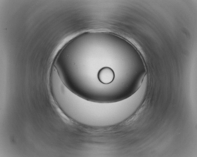 X0000110321485200906042033