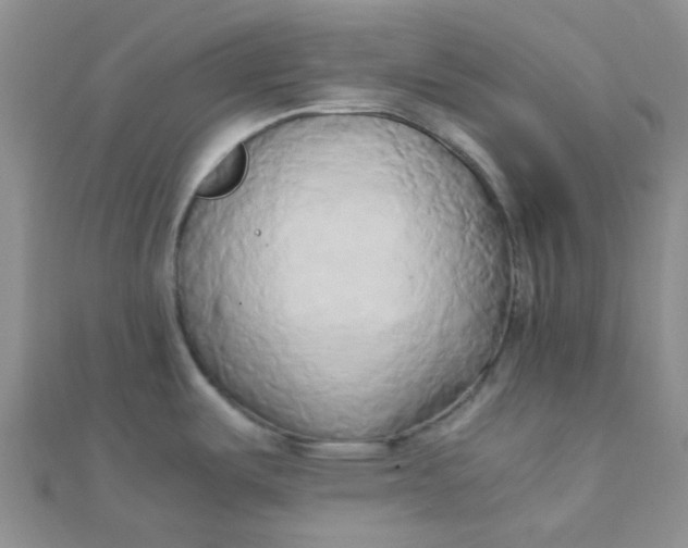 X0000110321487200906042033