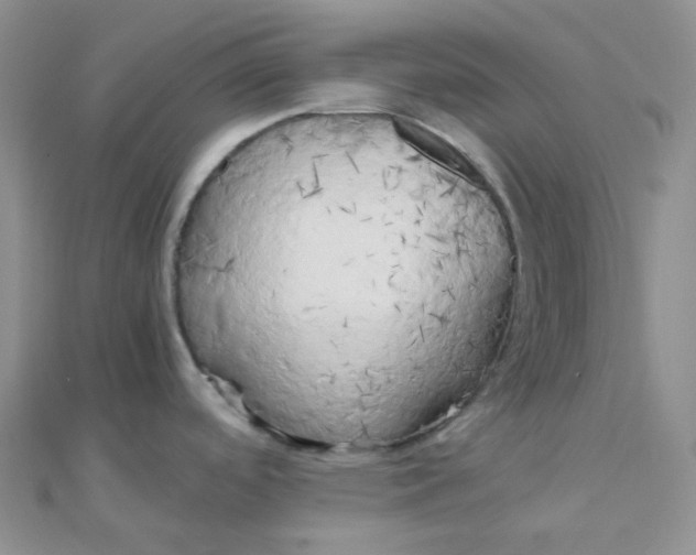 X0000110321488200906042033