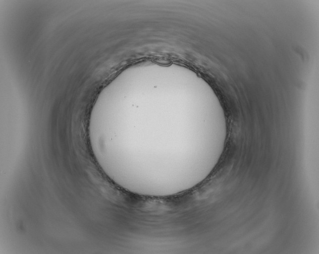 X0000110321489200906042033