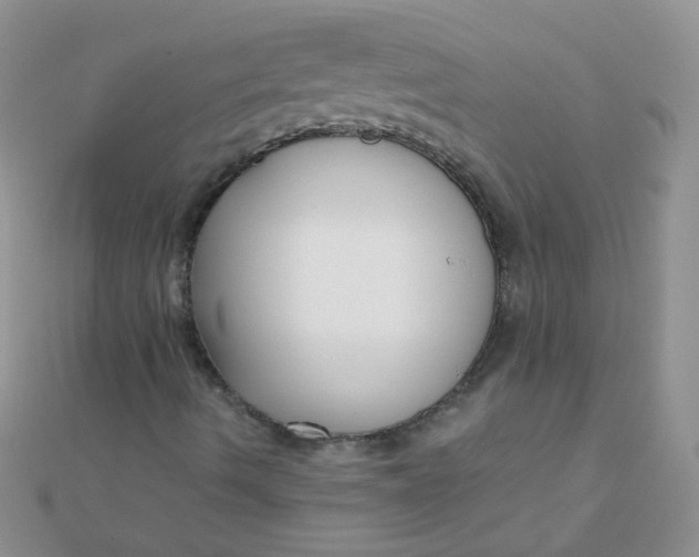 X0000110321490200906042033