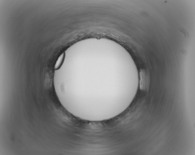 X0000110321491200906042033