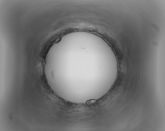 X0000110321493200906042033