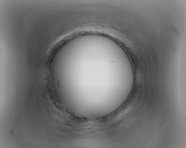 X0000110321494200906042033