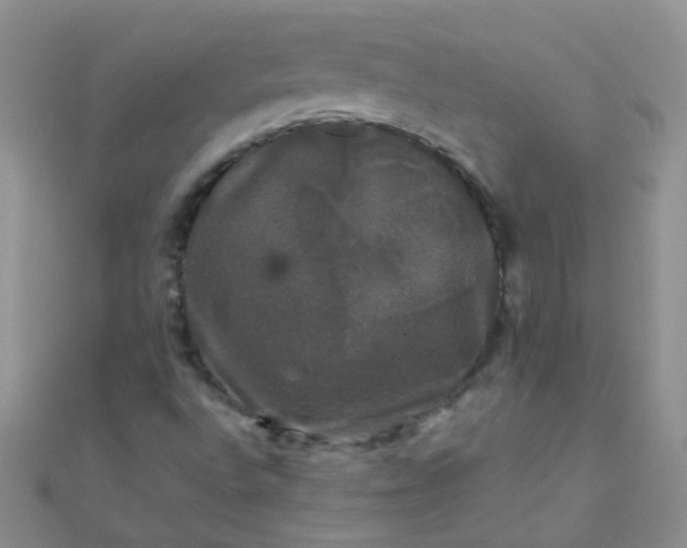 X0000110321496200906042033