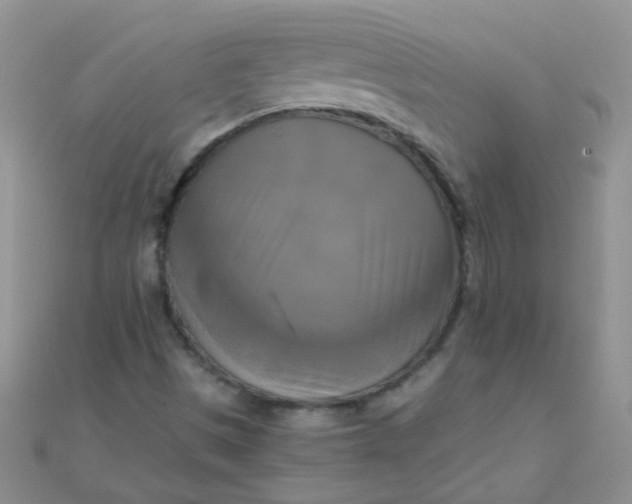 X0000110321497200906042033