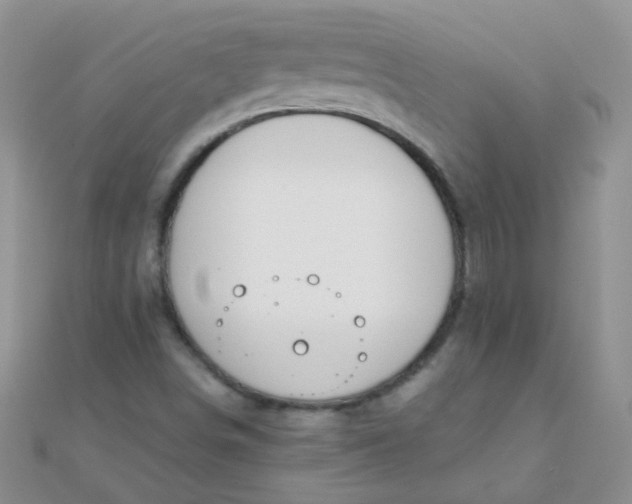 X0000110321498200906042033